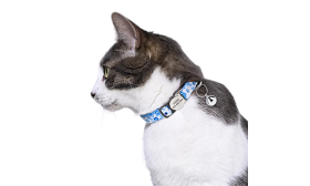 Breakaway Kattenhalsband Met Metalen Gesp