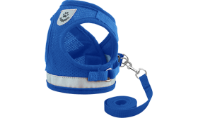 Reflecterend Kattenharnasvest met Bijpassende Riem