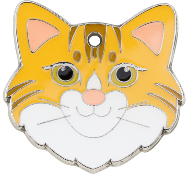 Gemberkleurige Gegraveerde Kattenpenning