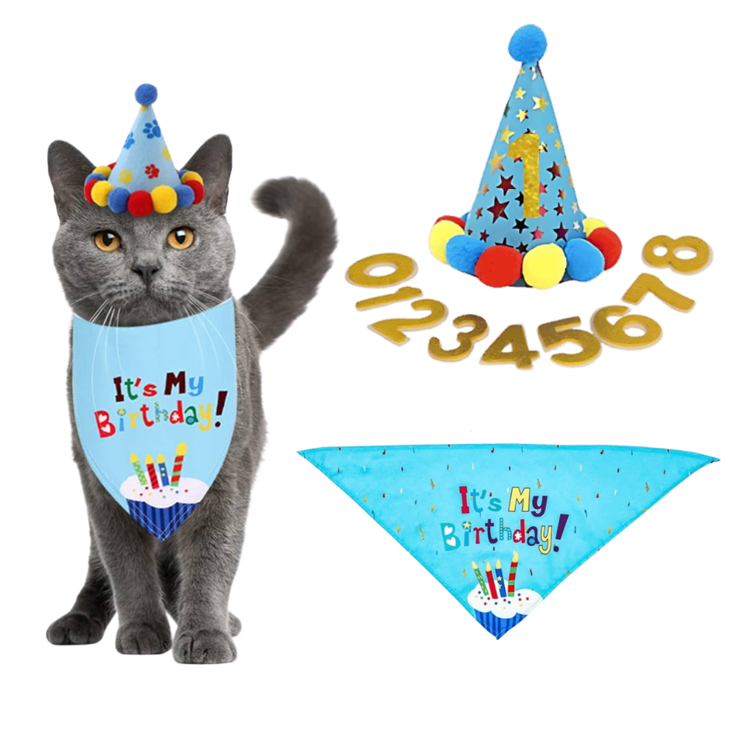 Kat Bandana Verjaardagset Kat Bandana Verjaardagset