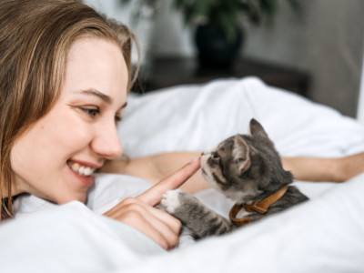 Een nieuwe kat adopteren mee naar huis nemen: Een gezellige en veilige ruimte creëren